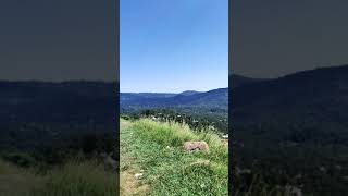 Lush green Rawalakot city in summer.