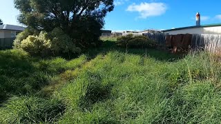 This Neglected Backyard Became a NIGHTMARE for the Entire Neighborhood – Here's the SOLUTION