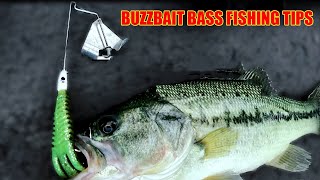 topwater buzzbait fishing tips--- That Catch More Bass