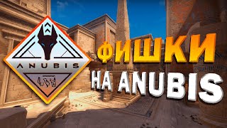 ANUBIS БАЗОВЫЕ ПОДСАДКИ И ФИШКИ!