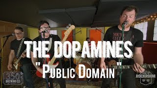 The Dopamines - "Public Domain" Live! from The Rock Room