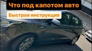 Что под капотом авто? Быстрая инструкция для девушек!#автоледи #automobile #автообзор #автоминск