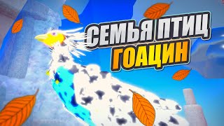 🐤ГОАЦИН (Новая Птица 2024) Семья Птиц Роблокс 🐤Feather Family Roblox Hoatzin NEW BIRD