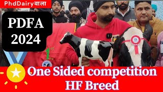 PDFA Champion 🏆🏅 Cow 2 Teeth Breed Competition II