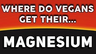 Magnesium on a Vegan Diet  |  Get Healthy on a Plant Based Diet