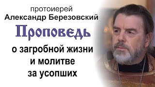 Проповедь о загробной жизни и молитве за усопших (2024.11.01). Протоиерей Александр Березовский