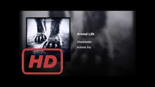 Animal Life