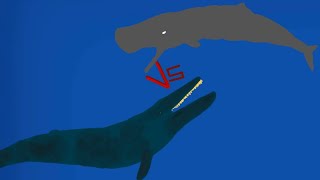 DCBA: Sperm Whale VS Blue Whale