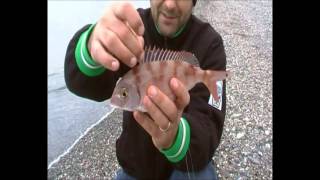 SHORE ANGLING SICILIA 2013 - SECONDA PARTE