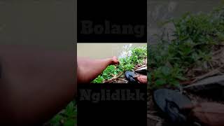 Mancing dapat Biawak 😂... Gokil bro.. #shorts #biawak