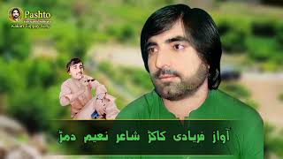 Faryadi Kakar Pashto New Song 2022