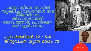 തിരുവചന ധ്യാനം ഭാഗം 73  :  പ്രവർത്തി  12 : 5 - 6