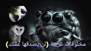 مخلوقات غريبة( لن يتخيلها عقلك انها موجودة)