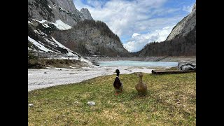 A walk around GOSAUSEE - Austria's prettiest lake