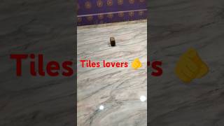 Tiles lovers 🌹🫵@constructiontips42 @Constructionworker86 #shorts #short #funny