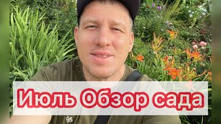 Июль обзор сада цветов