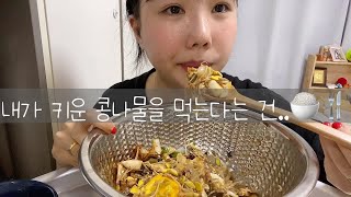 [퀀박사 브이로그] 내가 키운 콩나물🫘/ 먹어보기🍽️ / 콩나물 재배 과정/ 일상브이로그/ 콩나물 잔치🪩/ 콩나물비빔밥먹방🤍