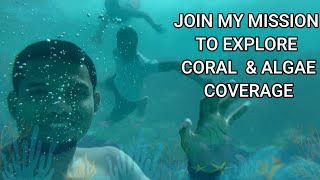 Coral & Algae Coverage in Delap Park, Katoj Park & Ajeltake Village by Jerwan Lalimo