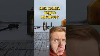 Это видео сделали искусственно или сняли вживую?