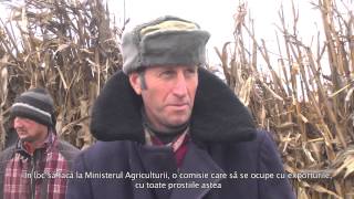 Greva foamei la Pungești | 26 - 12 - 2013