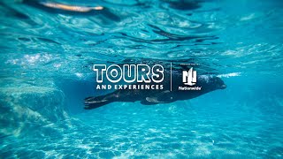 Tours and Experiences