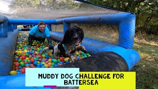 Muddy Dog Challenge for Battersea Dogs Home