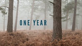 A Year In The New Forest