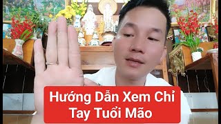 Hướng Dẫn Xem Chỉ Tay Trời Độ"Tuổi Mão"Kỹ Mão"Đinh Mão"Ất Mão"Quý Mão"Hihi Coi Tivi"Zalo 0347377199"