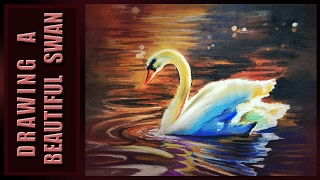 How to draw  swan drawing | drawing of swan |dramatic |realistic|soft pastel technique|trick reveal