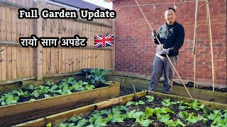 Garden Update | Mustard Green | Rayo Saag Update | Full Garden Tour | NepaliFamilyUK |Gardening Vlog