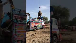 Camels loading #camel #animals #youtubeshorts #youtubevideos