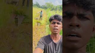 Dog voice prank : paddy field edition.!🐕😮‍💨