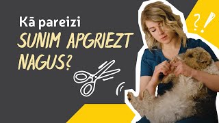 Kā pareizi sunim apgriezt nagus? Skaidro veterinārārste, Rimi Mājdzīvniekiem eksperte, Anete Kalniņa