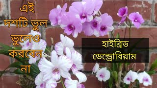 10 mistakes that kill Hybrid dendrobium! এই দশটি ভুল ভুলেও করবেননা।#orchid @SandipOrchid