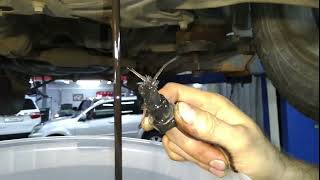 что будет если не менять масло в вариаторе CVT what happens if you do not change the oil in the CVT