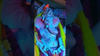 Ganpati Bappa morya#short #shorts#ganpati#morya##bappalover