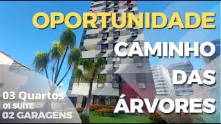 Apartamento no Caminho das Árvores - Oportunidade