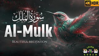 Surah Mulk | Beautiful Heart Touching Tilawat