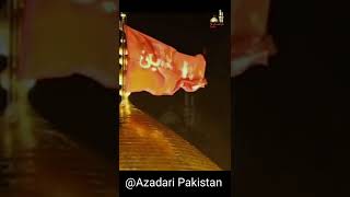 9 Safar Shia Whatsapp Status 2022 || Allama Shehenshah Hussain Naqvi #shorts #shia