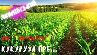 КВС " Керберос" (кукуруза пре...)