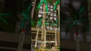 Christmas Lights up 2022 in Miami Brickell! #shorts