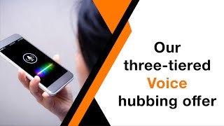 Our three-tiered voice hubbing offer for telecom operators worldwide