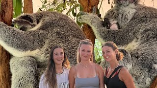 COME WITH US TO AUSTRALIA ZOO!!🐨🦒 INCREDIBLE!!