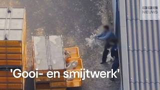 Zo worden eenden ernstig mishandeld bij vervoer