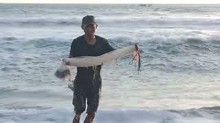 #berburu ikan layang pantey selatan