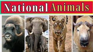 National Animal of Countries || National Animals