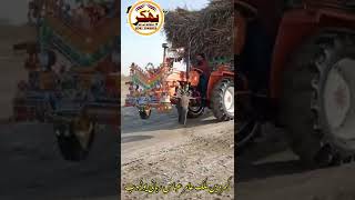 Fiat 480S heavy loaded sugarcane trolley Bhakkar Pakistan 2022