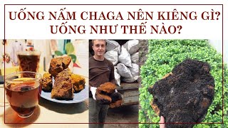 UỐNG NẤM CHAGA NÊN KIÊNG GÌ? UỐNG NHƯ THẾ NÀO?