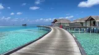 Maldives Anantara Dhigu & Niyama Resort March 2020 | 4K Video | The Journeys Collection