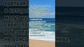 Кровь Иисуса Христа #последние_дни